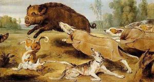 The hunting of wild boar