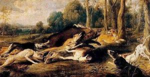 Boar harassed