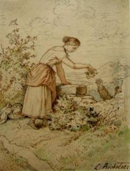 Couple Preparing A Picnic In A Summerlandscape - view 1