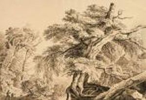 Der Alte Baum. by Adrian Ludwig Richter