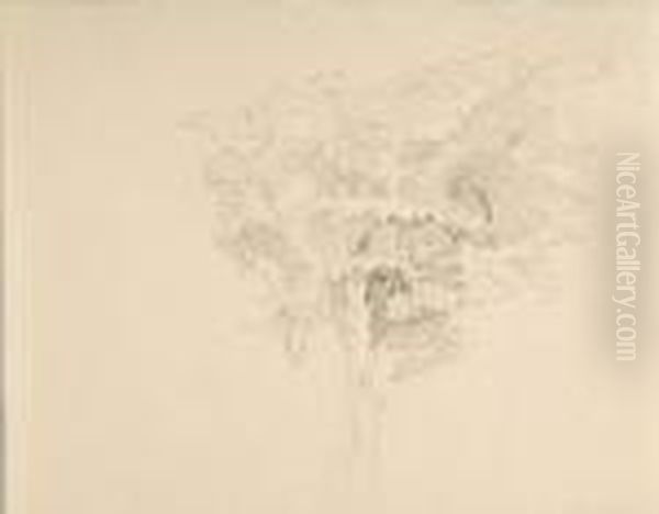 Baumstudie. - view 1