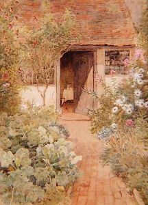 Cabbages in a Cottage Garden