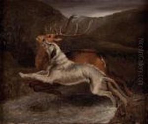 Hirsch Und Jagdhund Beim Sprung Uber Den Wildbach by Johann Elias Ridinger or Riedinger