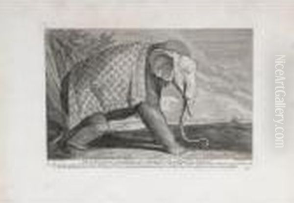 Elephants And Camels - view 1
