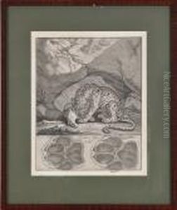 "spuhr Des Tigers" by Johann Elias Ridinger or Riedinger