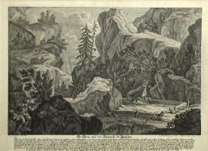 Die Gems Auf Der Salzlece Du Burchen
