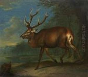 Zwolfender Am Waldrand by Johann Elias Ridinger or Riedinger
