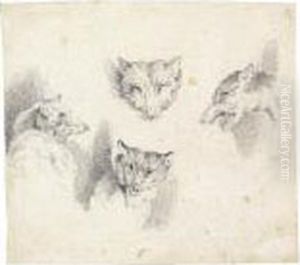 Vier Fuchs- Undwolfskopfe by Johann Elias Ridinger or Riedinger