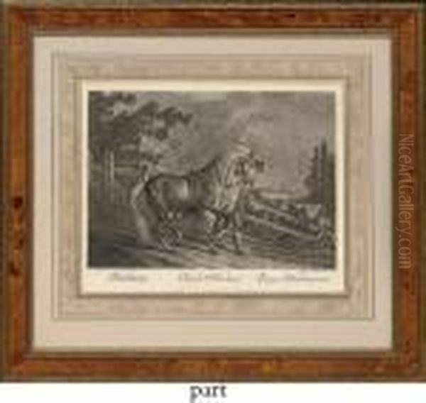 Cheval D'oldenburg - view 1