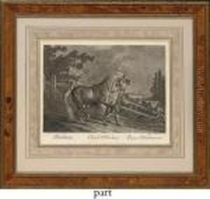 Cheval D'oldenburg by Johann Elias Ridinger or Riedinger