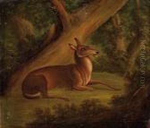 Hirschkuh In Waldlichtung by Johann Elias Ridinger or Riedinger