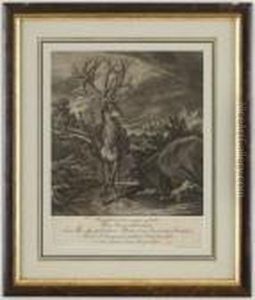 Cerfs. by Johann Elias Ridinger or Riedinger