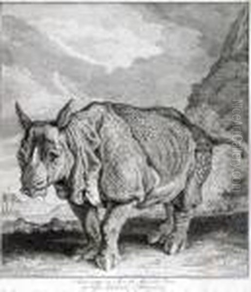 Elephanten - view 1