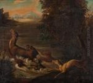 Hundemeute, Ein Reh Im Wasser Stellend