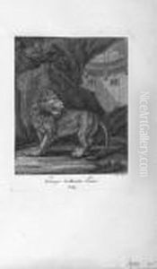 Entwurf Einiger Thiere by Johann Elias Ridinger or Riedinger