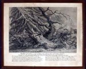 Der Iltis by Johann Elias Ridinger or Riedinger