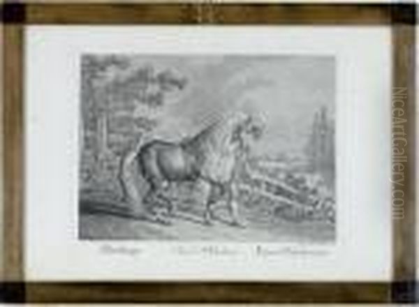 [horse Breeds]: Eleven Plates - view 1