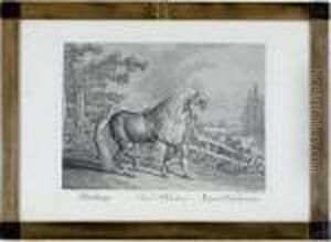 [horse Breeds]: Eleven Plates