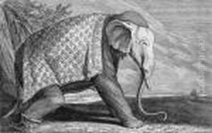 Elefant by Johann Elias Ridinger or Riedinger