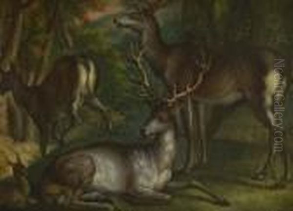 Rotwild Im Wald. - view 1