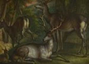 Rotwild Im Wald. by Johann Elias Ridinger or Riedinger