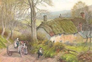 Gathering primroses