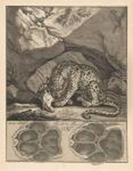 A Leopard Gnawing A Skull - view 1