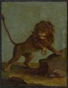 Study Of A Lion by Johann Elias Ridinger or Riedinger