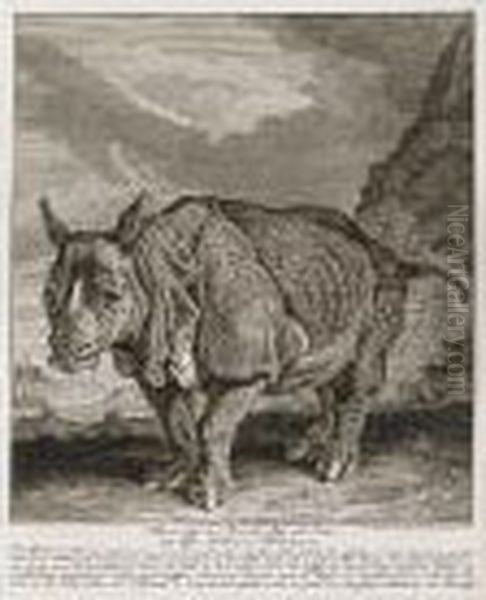 Verschiedene Sonderbare Thiere"; A Portfolio Of 81 Engravings Of Animals (with Text) - view 1
