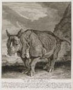 Verschiedene Sonderbare Thiere"; A Portfolio Of 81 Engravings Of Animals (with Text)