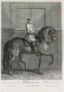 Neue Reit Schul Vorstellend
Einen Vollkommenen Reiter In Allen Lectionen."; A Portfolio Of 17
Engravings Depicting The Riding School by Johann Elias Ridinger or Riedinger