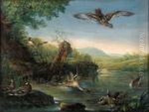 An Eagle In Flight Watching Ducks By A Pool
