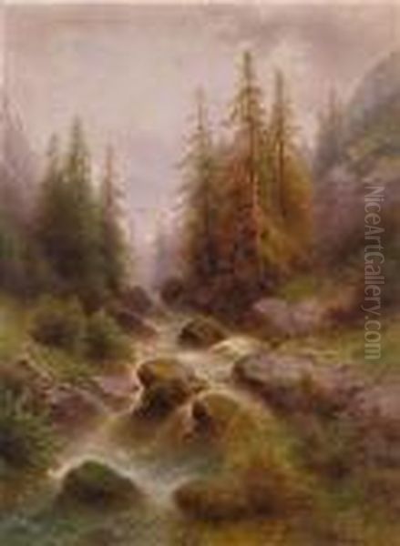 Wildbach In Derschweiz - view 1