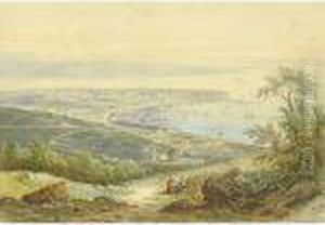 Trieste Vista Dall'alto