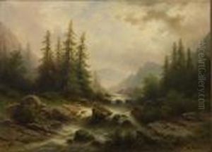 Wildbachim Gebirge