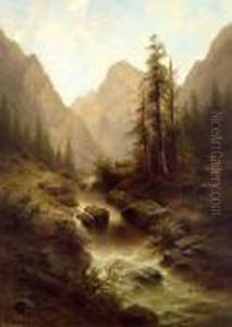 Wildbach In Den Julischen Alpen