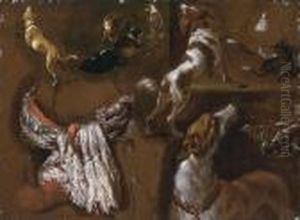 Studies Of Spaniels And Whippets And A A White Headdress by Hyacinthe Rigaud