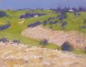 Landscape Landscape