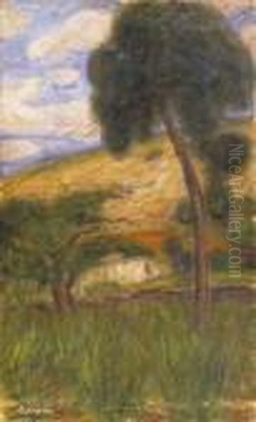 The Home Of Nymphs - view 1