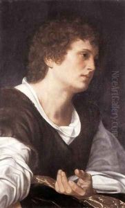 Bust of a Youth c. 1530 by Giovanni Girolamo Savoldo