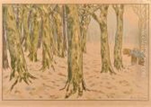 Le Bois D'amour - view 1