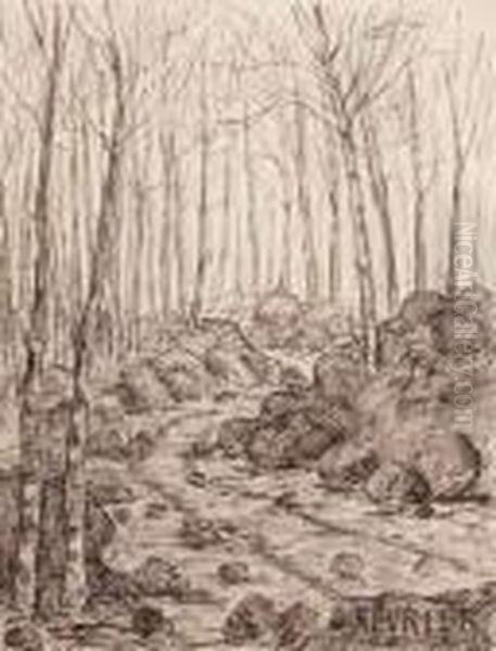 Fevrier - view 1