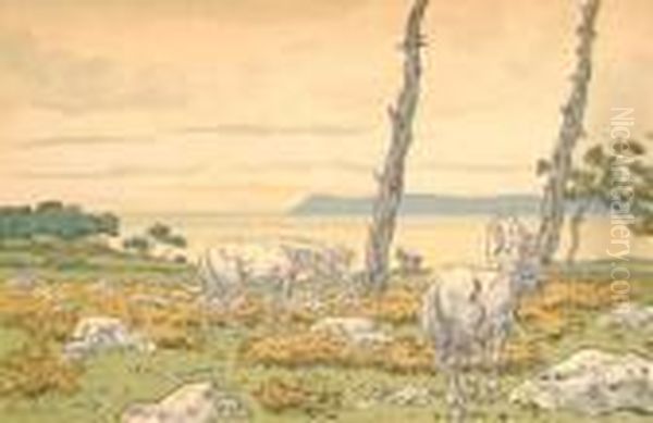 La Baie 1897 - view 1