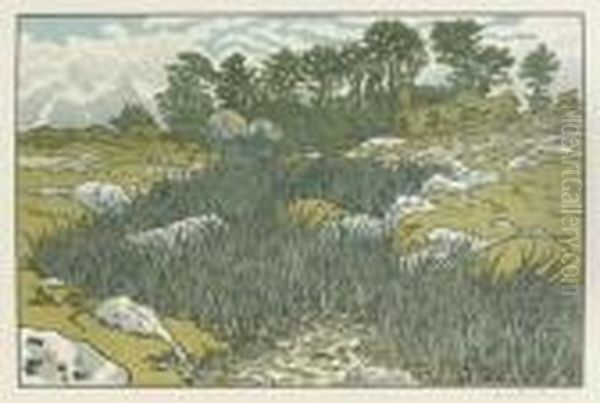 Le Ruisseau A Loperec, 1901. Planche Iv De La Serie Le Beau Pays De Bretagne. 230 X 350 - view 1