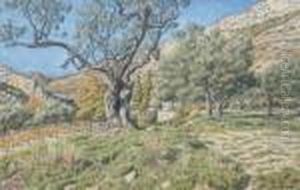 Paysage A La Fontaine D'anibal, Buis Les Baronnies