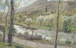 Buis Les Baronnies