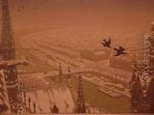 De Haut Des Tours De Notre Dame