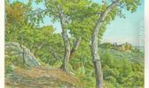 Bormes Fevrier 1926, Chemin De Fontorne - view 1