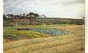 Paysage Maritime, Morgat Paysage Maritime, Morgat