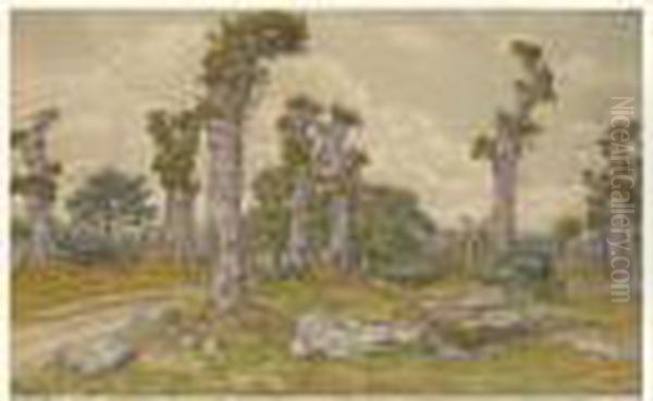 Pont-aven, Paysage Boise - view 1